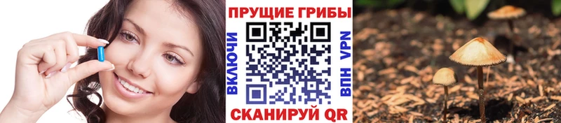 Купить где  Себеж  Галлюциногенные грибы Magic Shrooms 