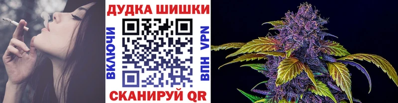 Купить закладки  Себеж  Шишки марихуана ГИДРОПОН 